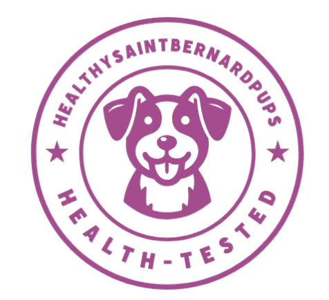 healthysaintbernardpups.com